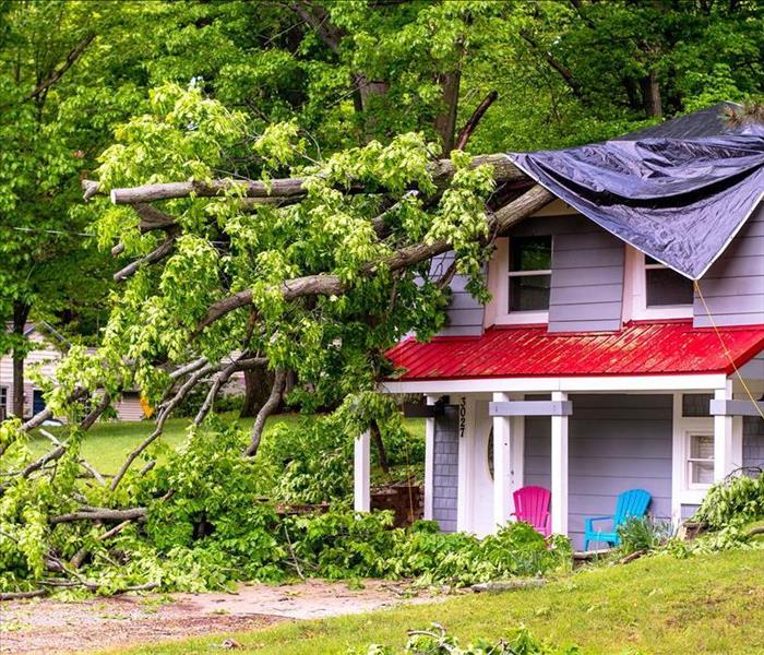 Stormy day drops a large tree on top of a house